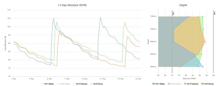 Comparing two probes side by side