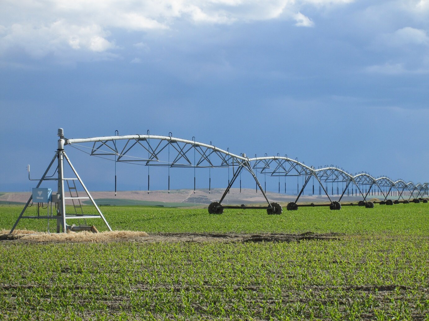 Centre pivot in the field