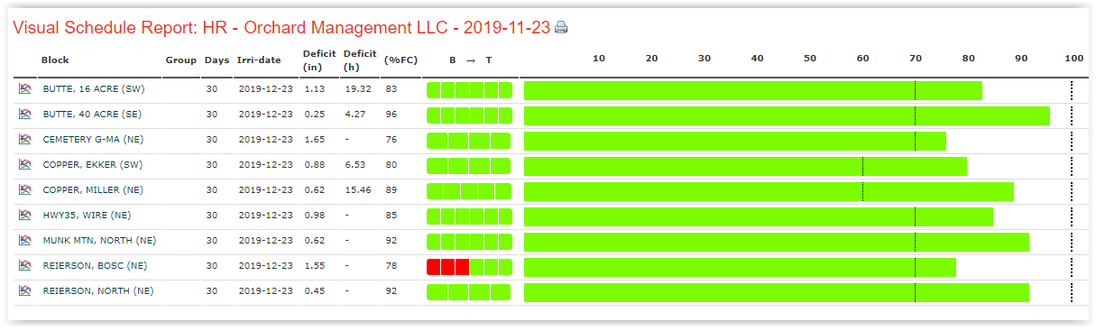 Visual irrigation schedule report