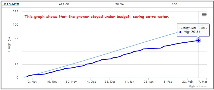 Budget vs actual graph